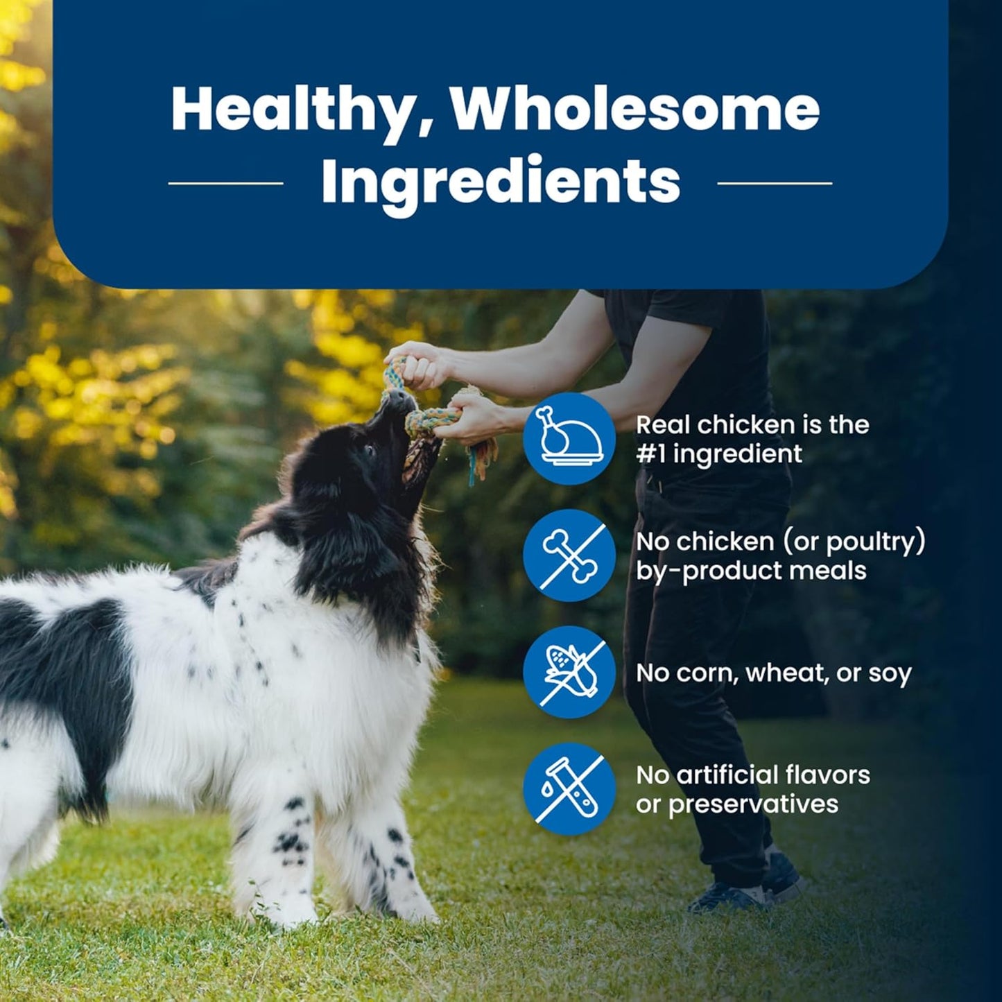 Blue Buffalo Life Protection Formula Adult Dry Dog Food, Helps Build and Maintain Strong Muscles, Made with Natural Ingredients, Chicken & Brown Rice Recipe, 30-Lb. Bag