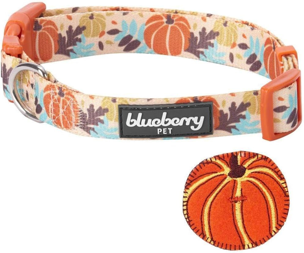 Blueberry Pet Thanksgiving Dog Collar - Adjustable Fall Pumpkin Puppy Collar for Small Dogs, Medium 14.5"-20" - Perfect for Holiday Enthusiasts & Family Photos - Seasonal Dog Collars