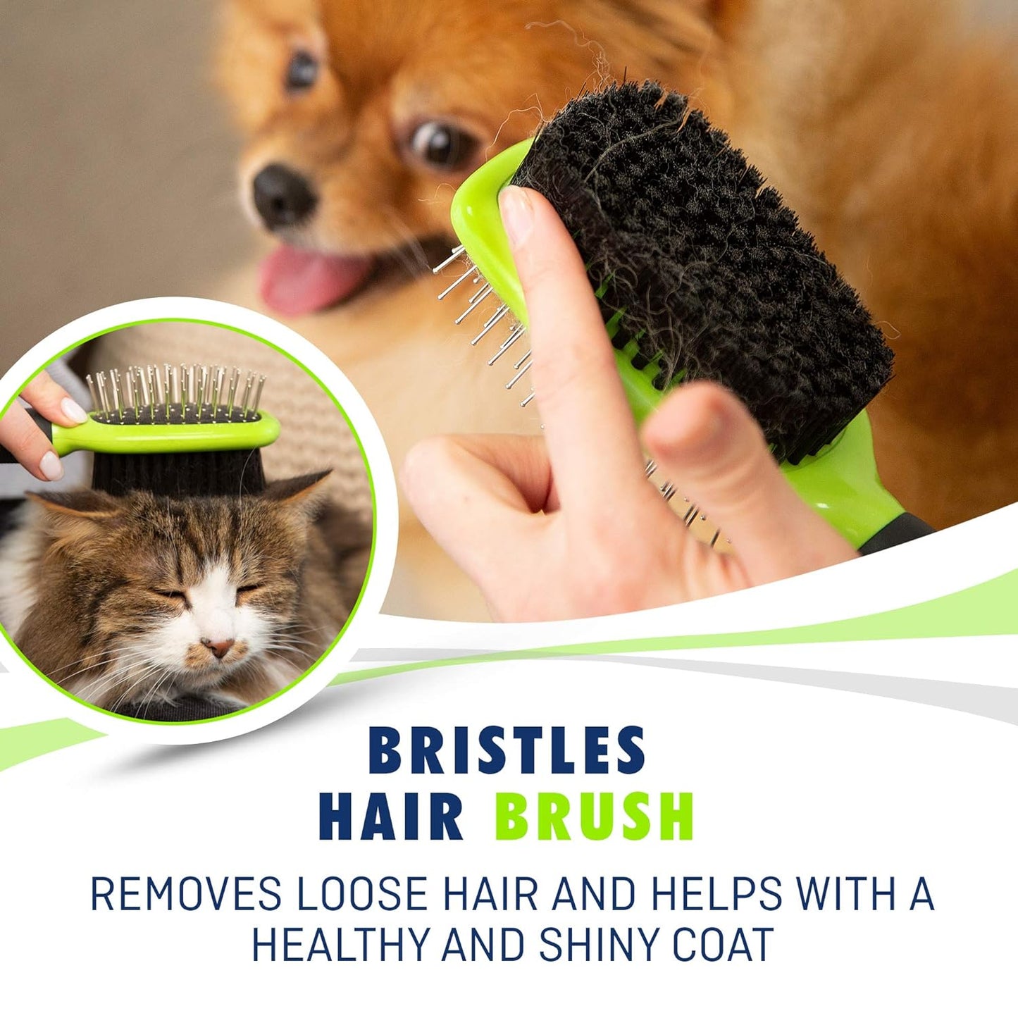 REXIPETS Dog & Cat Brush & Comb Pet Grooming Set - Double Side (Large) - Ultimate Deshedding Tool - Lice and Flea Removing - Perfect Groomer'S Tools - Strong Grip and Soft Bristles