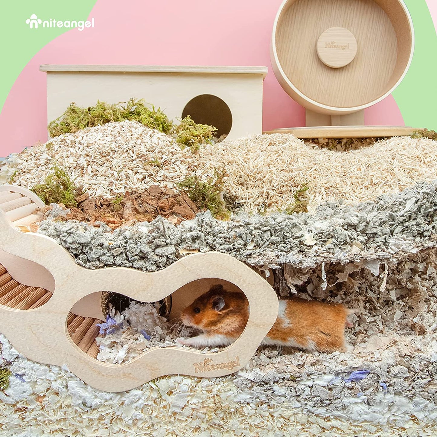 Niteangel Hamster House with Climbing Ladder for Small Pets, Featuring Secret Peep Tunnel Design