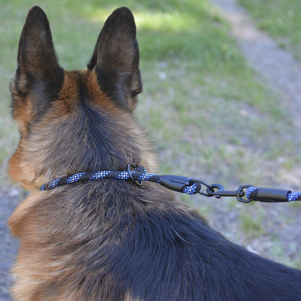 Bronzedog Rope Pro Training Dog Collar Braided No Pull Quick Release round Lead Collars for Dogs Small Medium Large Puppy (XS - 15.7" Long, Blue)
