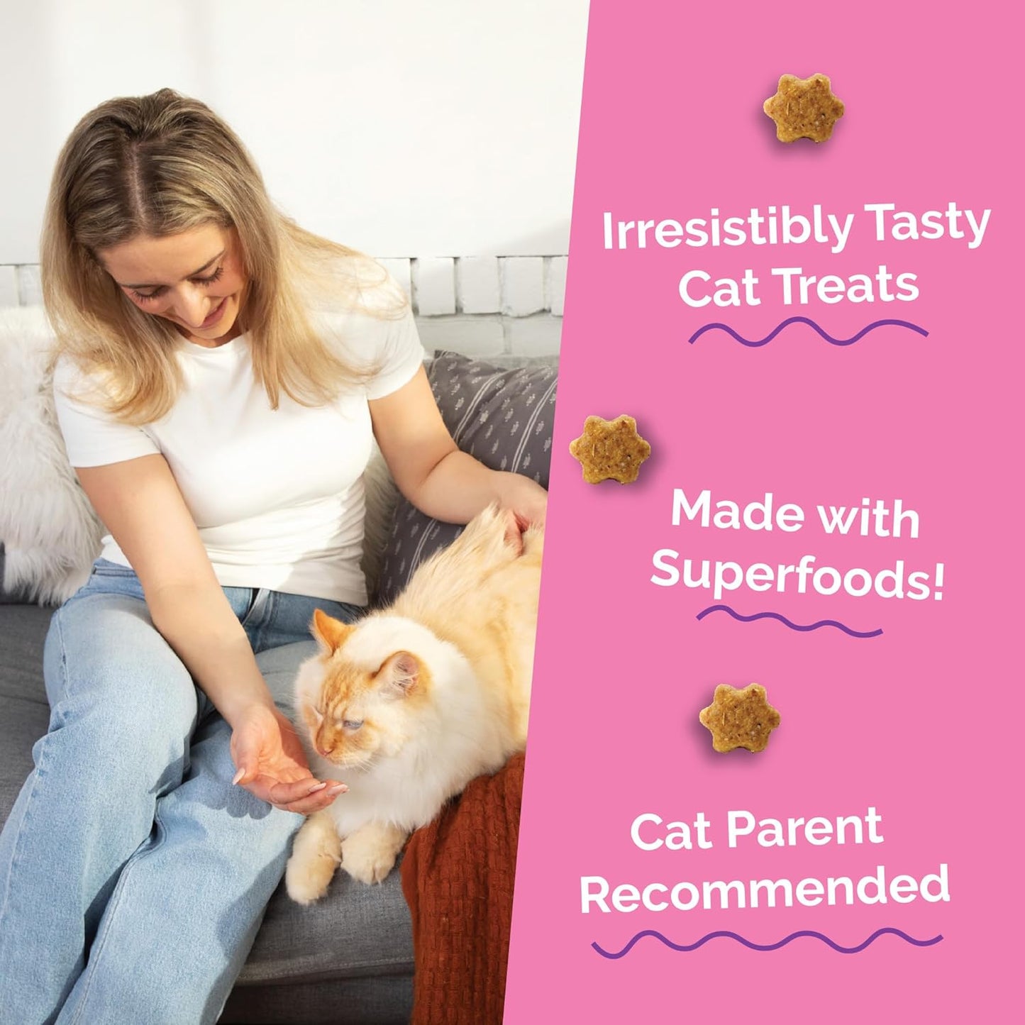 Fruitables Cat Treats, Healthy Treats for Cats, Low Calorie and Packed with Protein, Crunchy Biscuits, No Wheat, Corn or Soy, Made with Real Tuna and Pumpkin, 2.5Oz