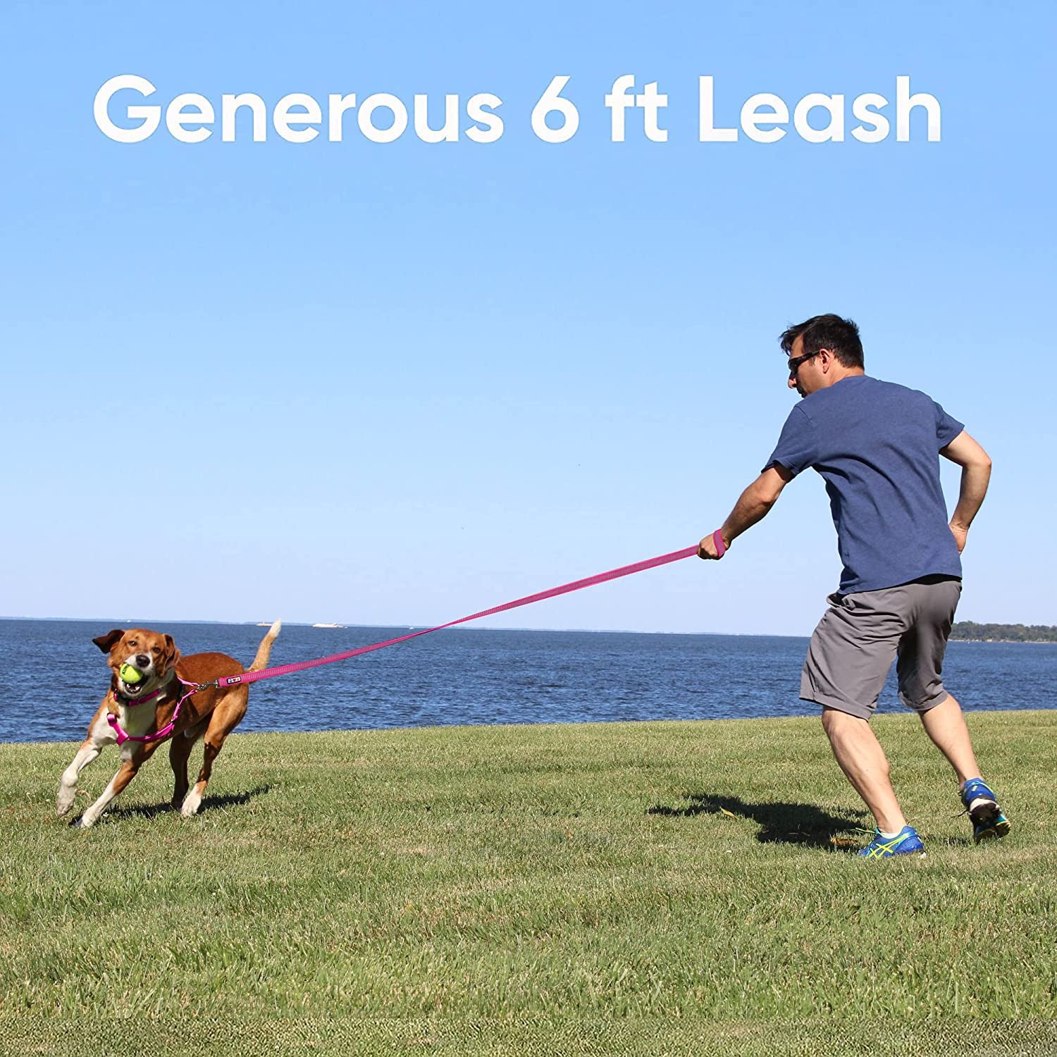 Pawtitas Pet Leash - Comfortable Heavy Duty Reflective Dog Leash | 6 Foot Orange, Highly Visible Threads
