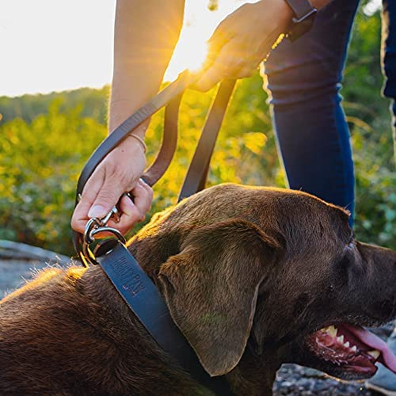 Mighty Paw Leather Dog Leash - Genuine Distressed Material - Premium - Suitable for All Pet Sizes - Heavy Duty Dogs Leashes - Modern - Dark