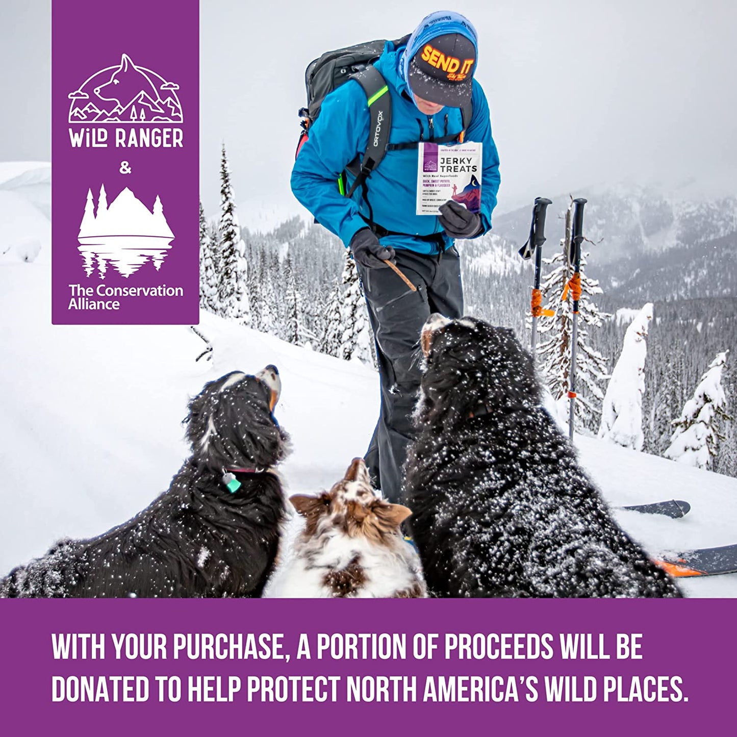 WILD NATURE Duck Jerky Dog Treats | Healthy, All-Natural Duck Jerky Sticks Made in the USA Only | High Protein, Soft Chew Dog Jerky Treats | Grain Free Superfoods | Perfect Duck Dog Training Treats