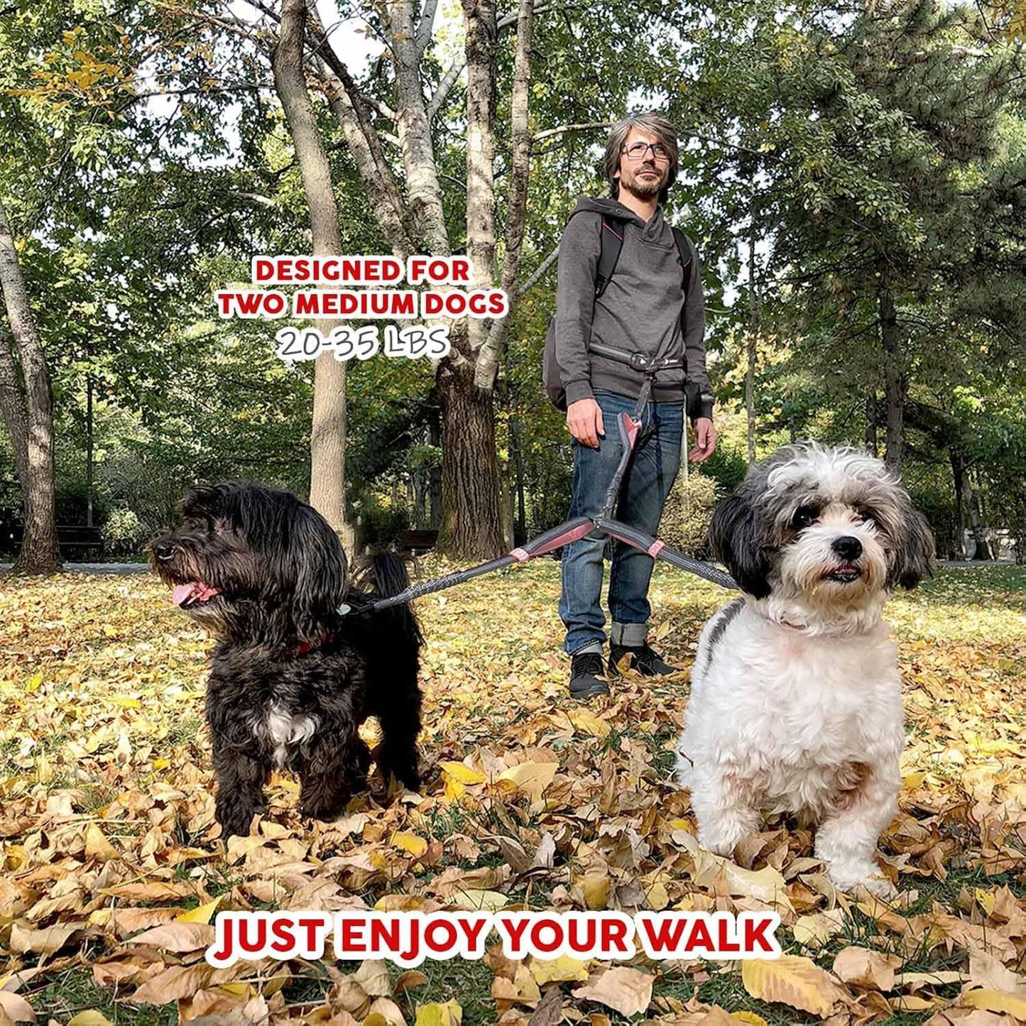 Pet Dreamland Exquisite Hands Free Dual Dog Leash for Medium Dogs. Trending Waist Leash for Walking 2 Dogs No Tangle. You Will Absolutely Love This Amazing Double Dog Gear (Dark Grey & Pink)