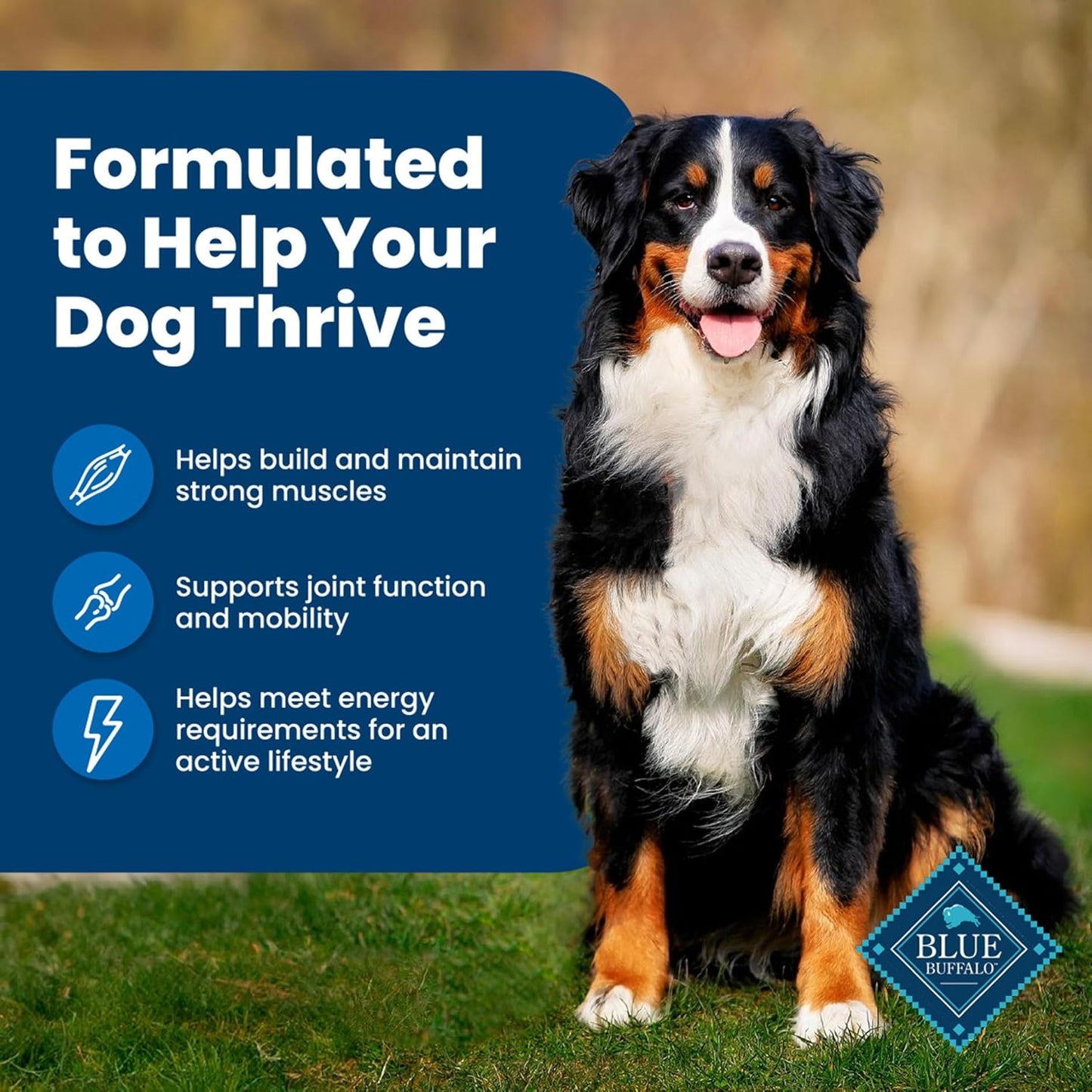 Blue Buffalo Life Protection Formula Adult Dry Dog Food, Helps Build and Maintain Strong Muscles, Made with Natural Ingredients, Chicken & Brown Rice Recipe, 30-Lb. Bag