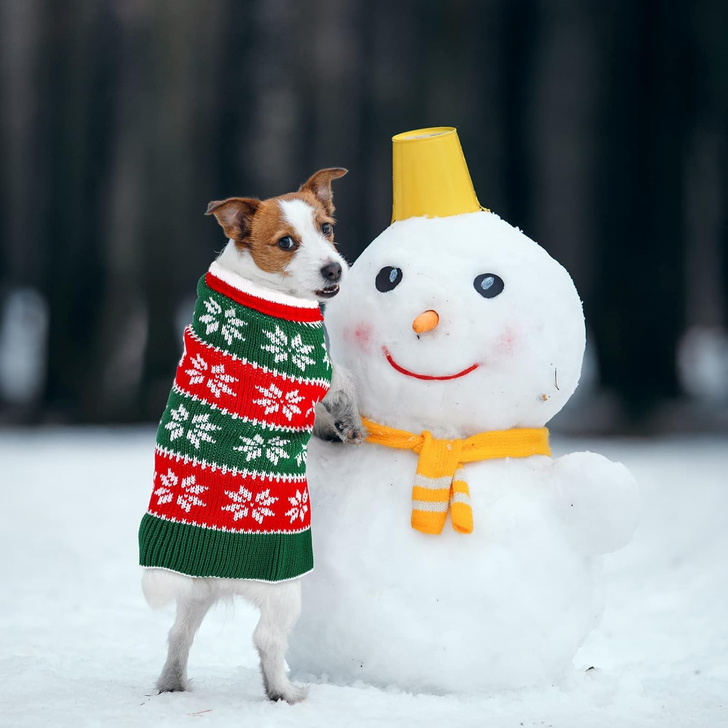 Pedgot 2 Pack Dog Christmas Dress Warm Dog Xmas Sweater Pet Christmas Clothes Stripes Dog Knit Sweater Dress Dog Winter Warm Pullover with Snowflakes and Christmas Flowers (M)