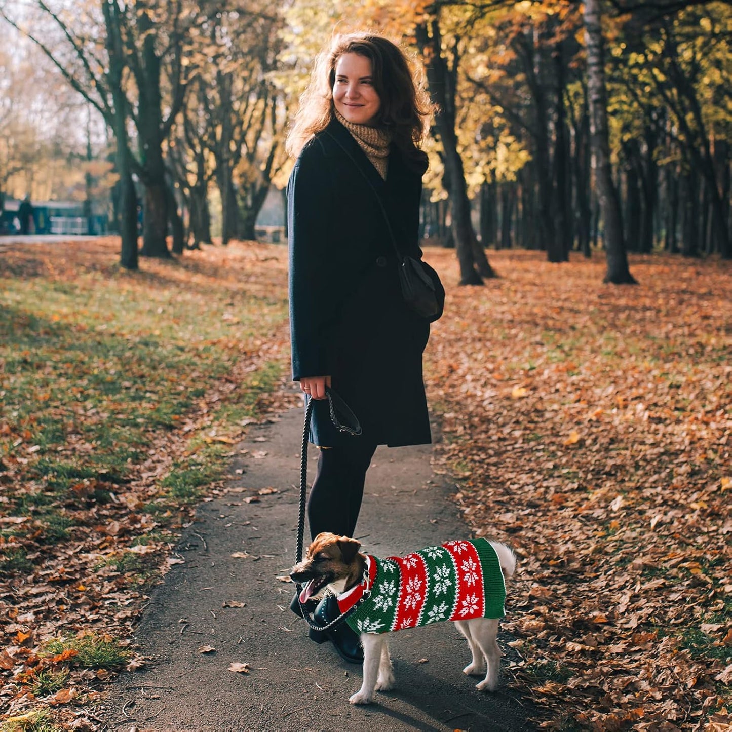 Pedgot 2 Pack Dog Christmas Dress Warm Dog Xmas Sweater Pet Christmas Clothes Stripes Dog Knit Sweater Dress Dog Winter Warm Pullover with Snowflakes and Christmas Flowers (M)