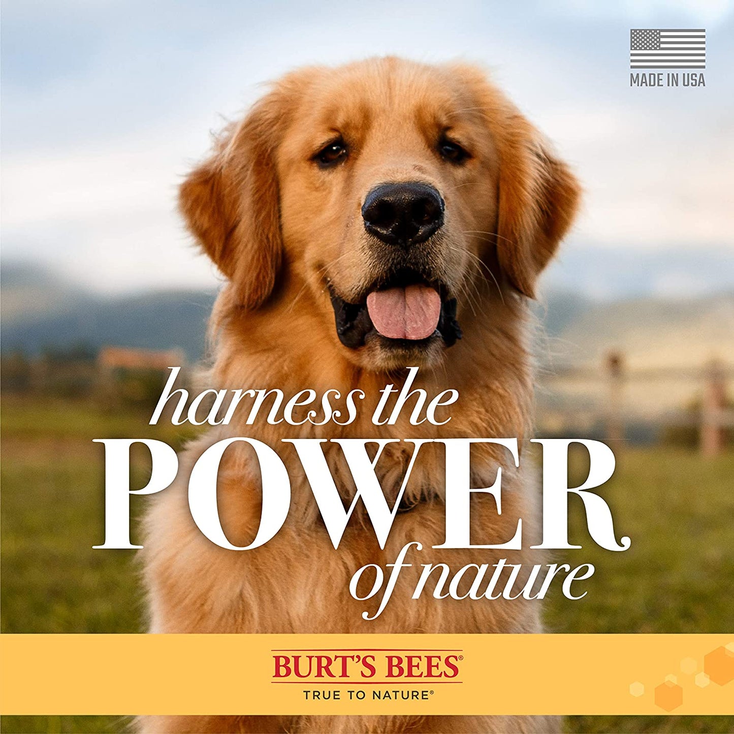 Burt'S Bees for Pets Naturally Derived Skin Soothing Shampoo with Honey - Dog Shampoo for All Dogs and Puppies - Safe for Dogs with Dry and Sensitive Skin - Made in USA, 16 Ounces