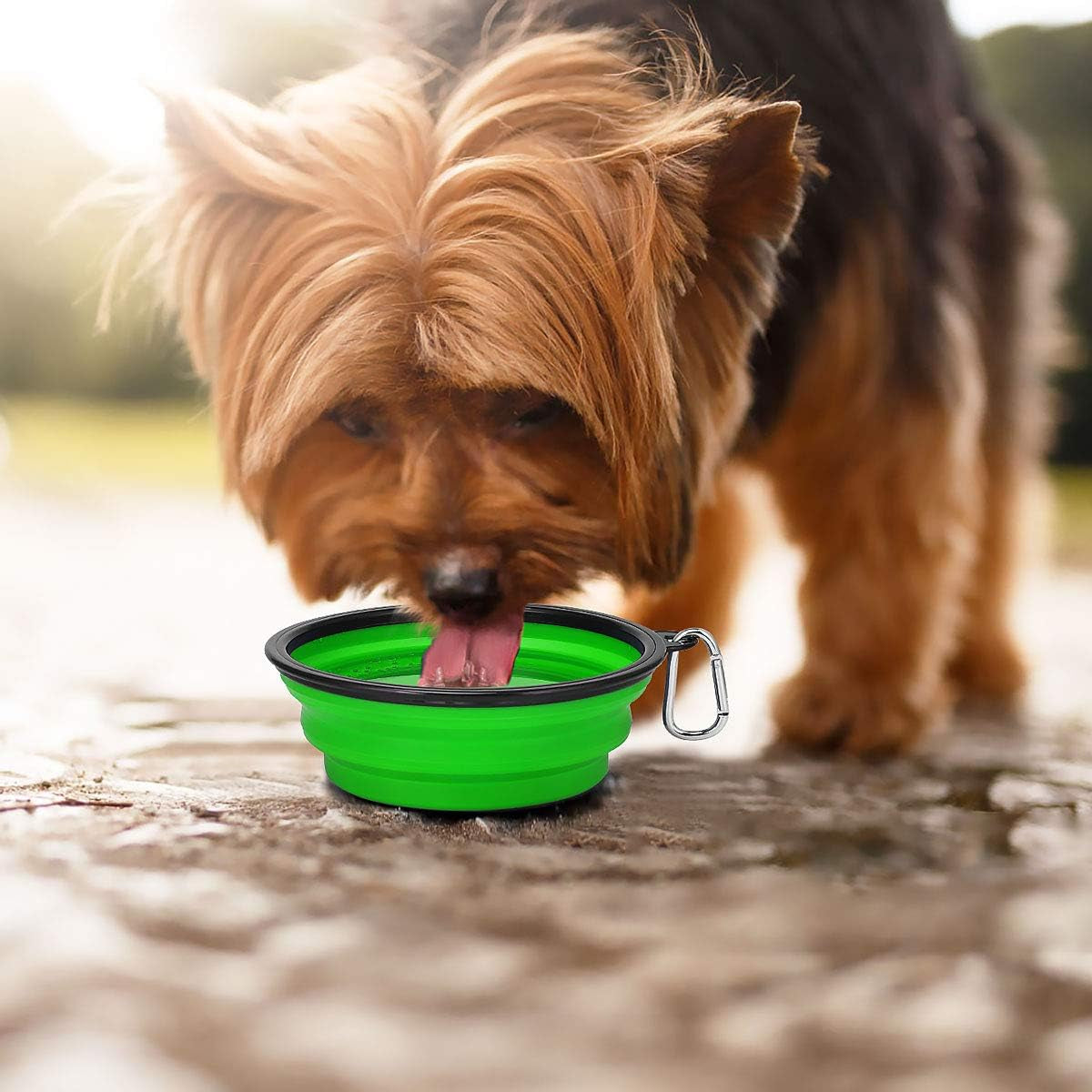 Kytely Large Collapsible Dog Bowls 2 Pack, 34Oz Foldable Dog Travel Bowl, Portable Pet Water Food Bowl with Clasp, Pet Cat Feeding Cup Dish for Traveling, Walking, Hiking (Blue+Green)
