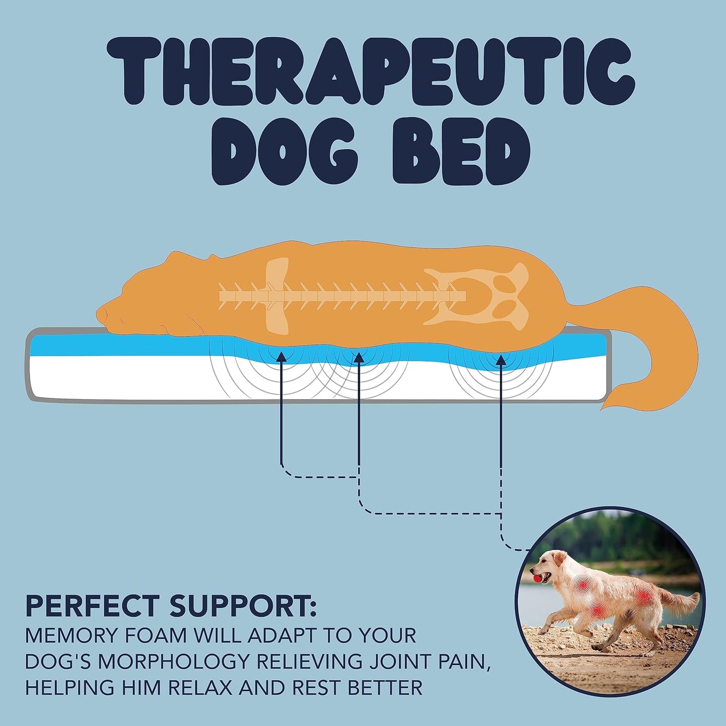 Orthopedic High-Density Memory Foam Dog Bed - Temperature Regulating Cooling Insert for Dogs of All Sizes (Puppy to 100 lbs) - Available in Five Sizes (Large)