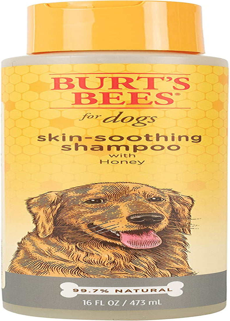 Burt'S Bees for Pets Naturally Derived Skin Soothing Shampoo with Honey - Dog Shampoo for All Dogs and Puppies - Safe for Dogs with Dry and Sensitive Skin - Made in USA, 16 Ounces