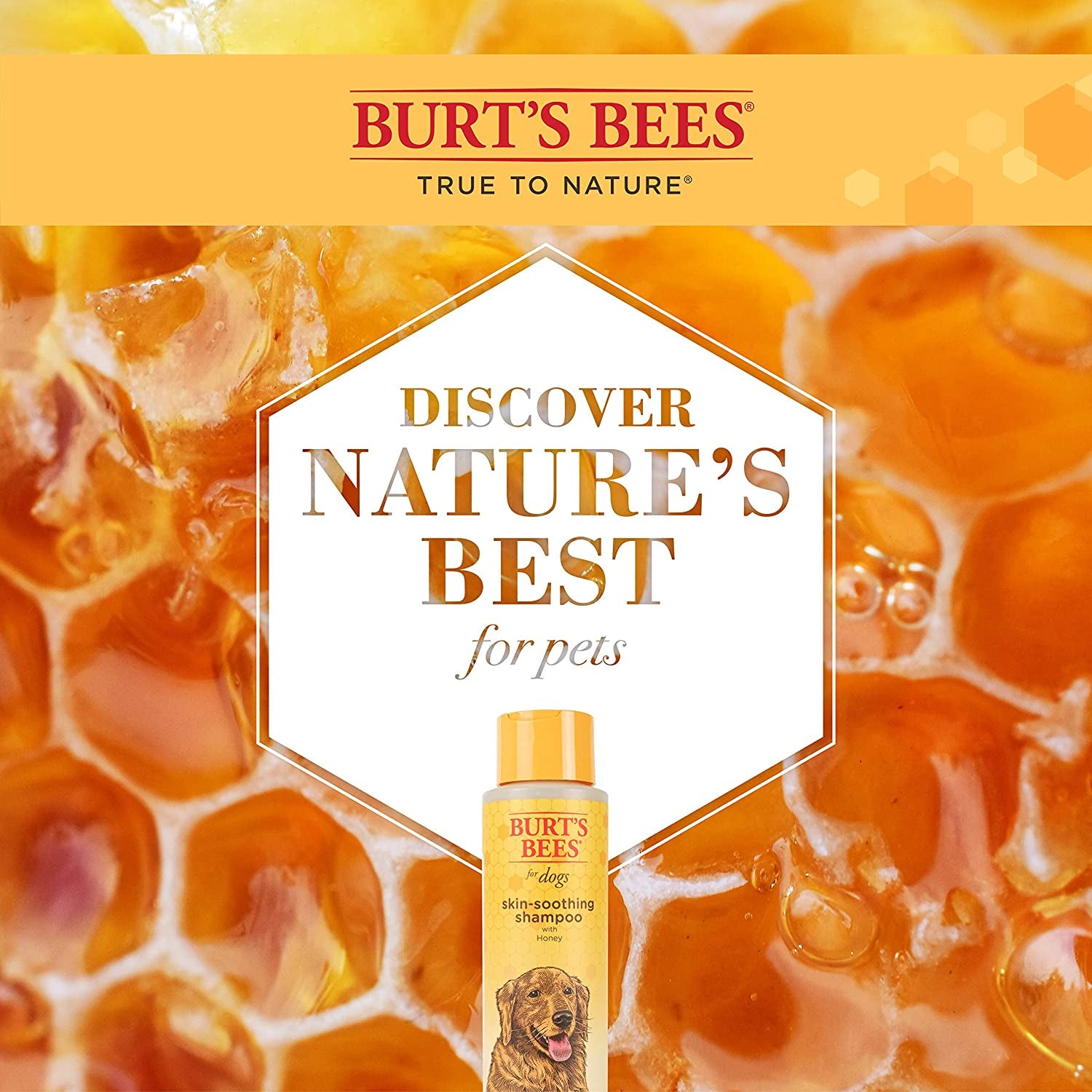 Burt'S Bees for Pets Naturally Derived Skin Soothing Shampoo with Honey - Dog Shampoo for All Dogs and Puppies - Safe for Dogs with Dry and Sensitive Skin - Made in USA, 16 Ounces