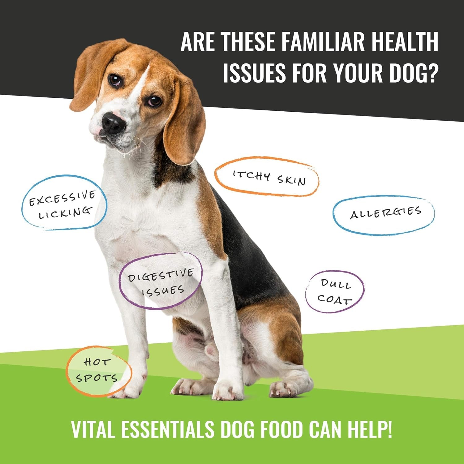 Vital Essentials Freeze Dried Dog Food, Chicken Mini Nibs 16 Oz