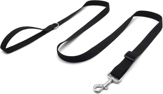 TAIAN Adjustable Nylon Dog Leash, 6 Foot Long Dog Leashes for Medium Large Dogs