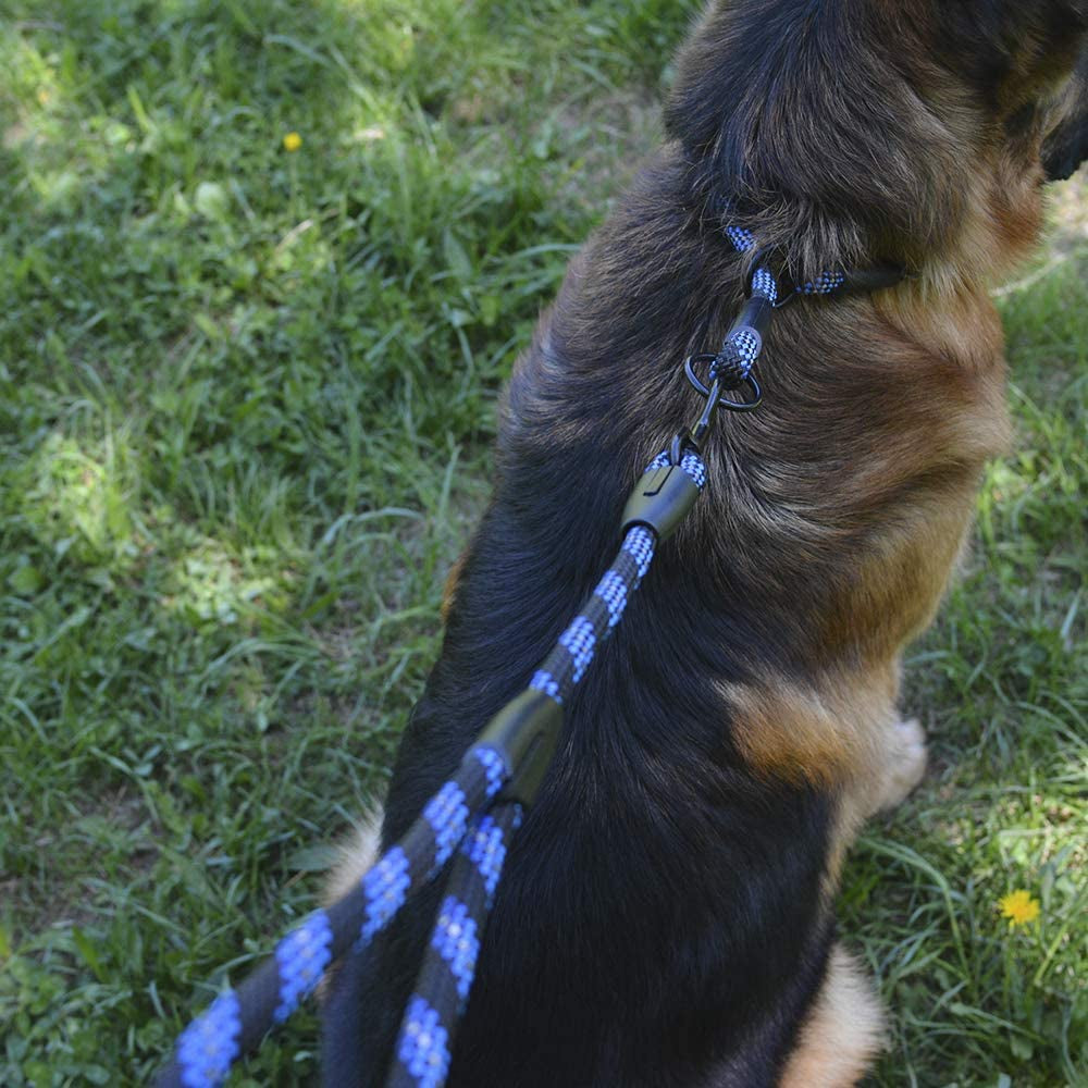 Bronzedog Rope Pro Training Dog Collar Braided No Pull Quick Release round Lead Collars for Dogs Small Medium Large Puppy (XS - 15.7" Long, Blue)