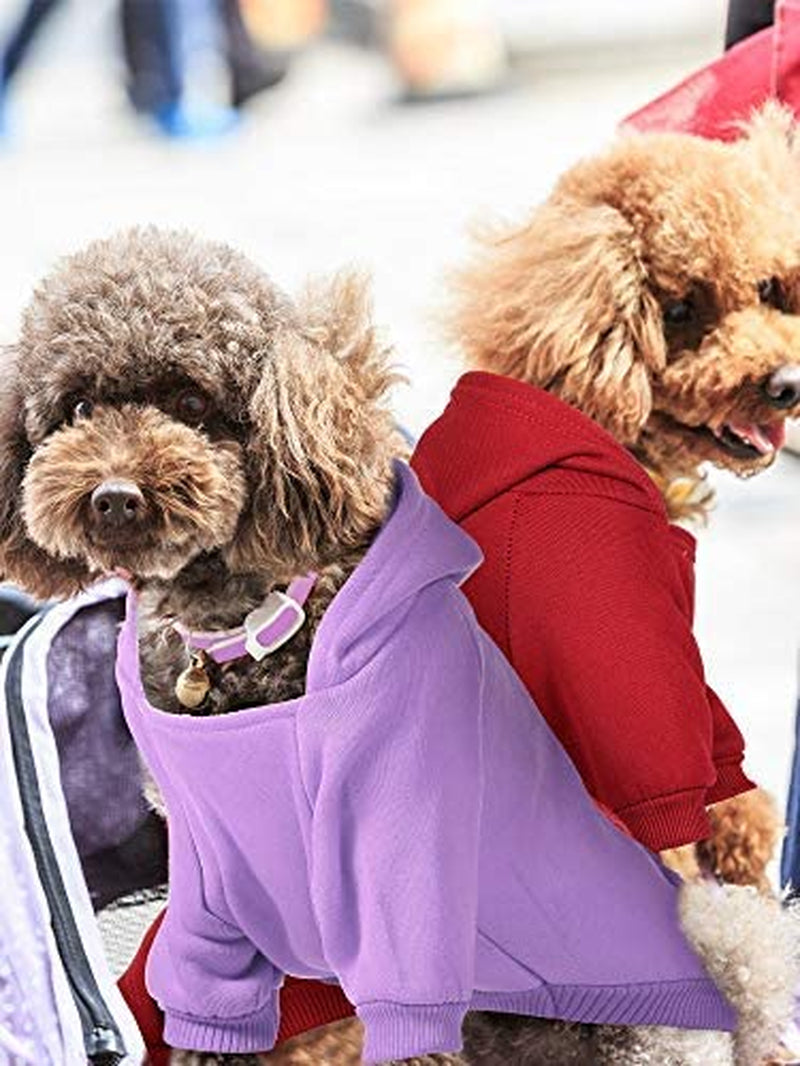 Syhood 4-Piece Small Dog Clothes Set: Winter Hoodies with Hat, Coat, Sweater & Shirt (XXS) for Chihuahuas and Small Dogs