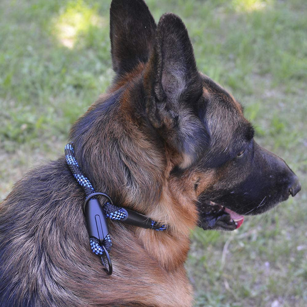 Bronzedog Rope Pro Training Dog Collar Braided No Pull Quick Release round Lead Collars for Dogs Small Medium Large Puppy (XS - 15.7" Long, Blue)