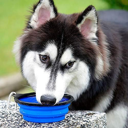 Kytely Large Collapsible Dog Bowls 2 Pack, 34Oz Foldable Dog Travel Bowl, Portable Pet Water Food Bowl with Clasp, Pet Cat Feeding Cup Dish for Traveling, Walking, Hiking (Blue+Green)