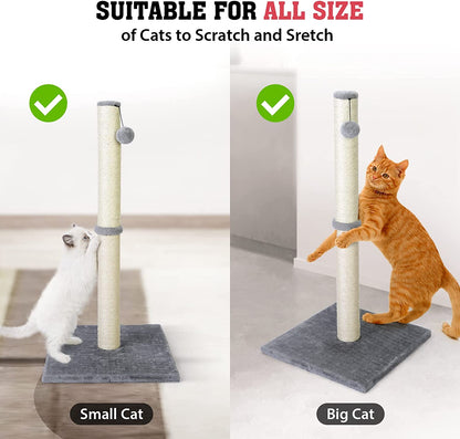 Petellow 31'' Tall Cat Scratching Post - Cat Claw Scratcher with Hanging Ball - Scratching Posts for Indoor Large Cats - Durable Stable Cat Furniture with Sisal Rope - Cat Scratch Post-Grey