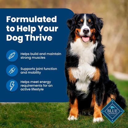 Blue Buffalo Life Protection Formula Adult Dry Dog Food, Helps Build and Maintain Strong Muscles, Made with Natural Ingredients, Chicken & Brown Rice Recipe, 30-Lb. Bag