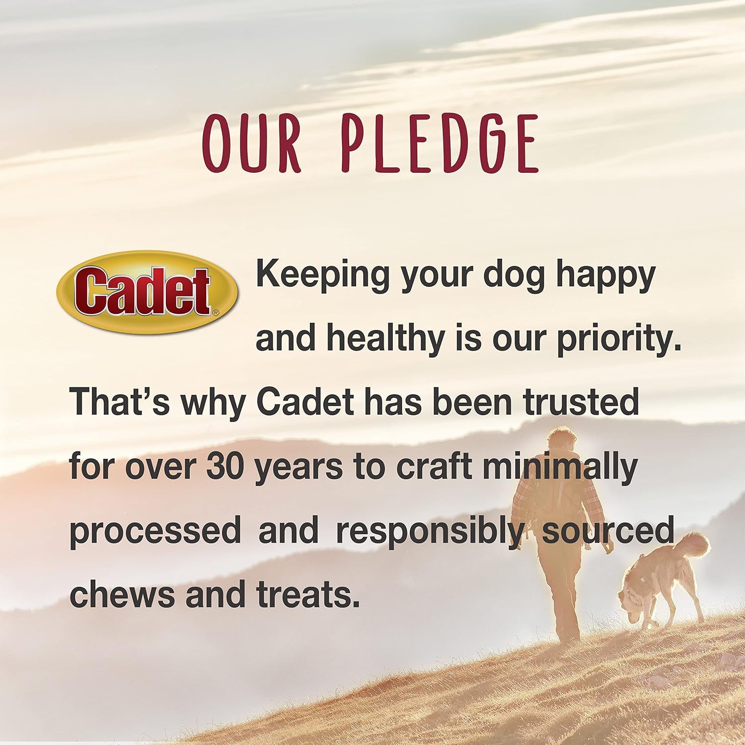 Cadet Gourmet Chicken & Apple Wrapped Dog Treats Wraps - Healthy & Natural Chicken & Apple Dog Training Treats for Small & Large Dogs - Inspected & Tested in USA (28 Oz.)
