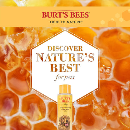 Burt'S Bees for Pets Naturally Derived Skin Soothing Shampoo with Honey - Dog Shampoo for All Dogs and Puppies - Safe for Dogs with Dry and Sensitive Skin - Made in USA, 16 Ounces