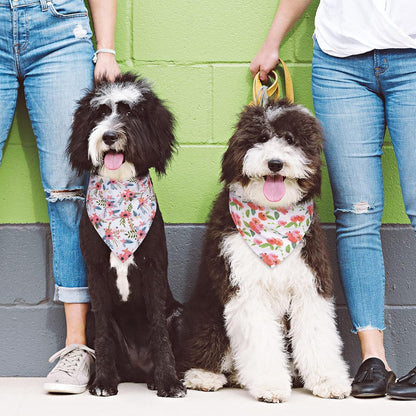 Dog Bandanas, Dog Scarf, Puppy Bandana, Dog Bandanas for Medium Size Dogs, Dog Bandana Accessories for Small Dogs, Personalized Adjustable Flower Pet Dog Bandana Handkerchiefs Triangle Bibs, 2 Pack