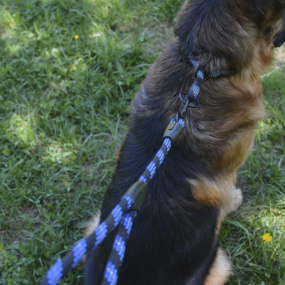 Bronzedog Rope Pro Training Dog Collar Braided No Pull Quick Release round Lead Collars for Dogs Small Medium Large Puppy (XS - 15.7" Long, Blue)